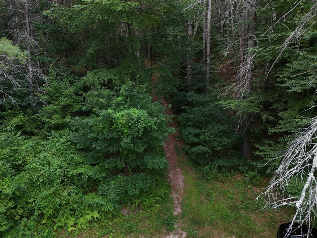 0 Amherst Rd, Pelham, Massachusetts 01002