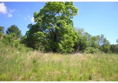 0 Monteiro, Dighton, Massachusetts 02715, ,Land,For Sale,Monteiro,71870472