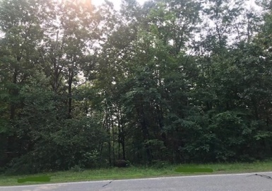 0 Lower Road, Hardwick, Massachusetts 01031, ,Land,For Sale,Lower Road,73159368