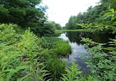 L-66, 68, 69 Mill St, Templeton, Massachusetts 01468, ,Land,For Sale,Mill St,73142015