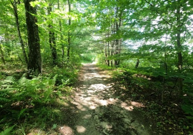Lot 21 Exchange St, Templeton, Massachusetts 01468, ,Land,For Sale,Exchange St,73142022
