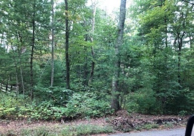 16 Fales Road, Plainville, Massachusetts 02762, ,Land,For Sale,Fales Road,73144988