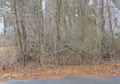 8 Island Rd, Norton, Massachusetts 02766, ,Land,For Sale,Island Rd,72808927