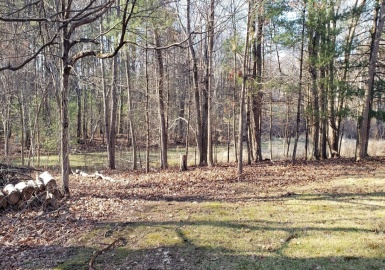 0 Winter St, North Andover, Massachusetts 01845, ,Land,For Sale,Winter St,73195923