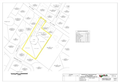 217 Mill St, Randolph, Massachusetts 02368, ,Land,For Sale,Mill St,72883776