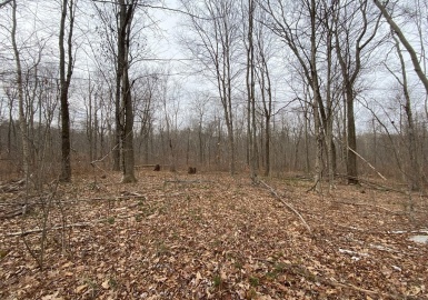 Lot 169-22 Beebe Rd, Monson, Massachusetts 01057, ,Land,For Sale,Beebe Rd,73191110