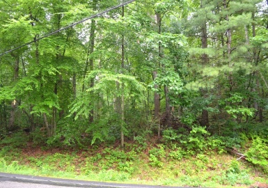 24 Monson Turnpike Rd, Ware, Massachusetts 01082, ,Land,For Sale,Monson Turnpike Rd,73198192