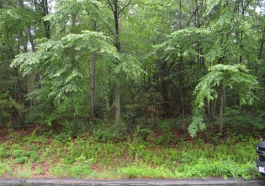 Lot 5 Babcock Tavern Rd, Ware, Massachusetts 01082, ,Land,For Sale,Babcock Tavern Rd,73198195