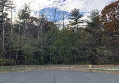 0 Coyote Glen, Southwick, Massachusetts 01077, ,Land,For Sale,Coyote Glen,73053874