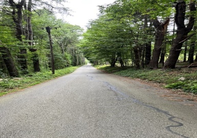 34 - Lot F South Rd, Sturbridge, Massachusetts 01566, ,Land,For Sale,South Rd,73154548