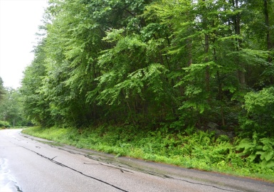 Lot 7 Monson Turnpike Rd, Ware, Massachusetts 01082, ,Land,For Sale,Monson Turnpike Rd,73198659