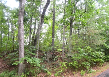 32 Coffey Hill Rd, Ware, Massachusetts 01082, ,Land,For Sale,Coffey Hill Rd,73198935