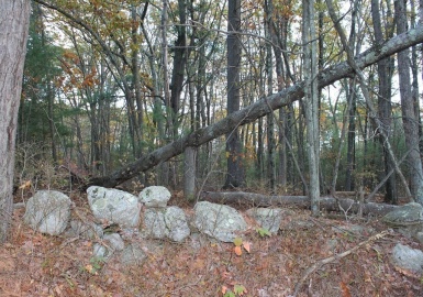 181 Ash Street, Spencer, Massachusetts 01562, ,Land,For Sale,Ash Street,73038618
