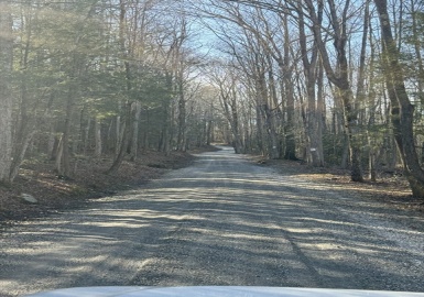 6 Hemlock Rd, Tyringham, Massachusetts 01264, ,Land,For Sale,Hemlock Rd,73210594