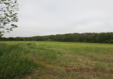 978 Sodom Rd, Westport, Massachusetts 02790, ,Land,For Sale,Sodom Rd,73205954