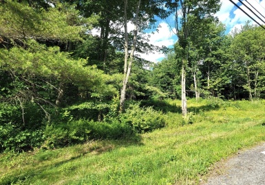0 State Rd, Phillipston, Massachusetts 01331, ,Land,For Sale,State Rd,73211502