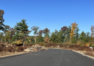 Lot 80 Balsam Hill Rd., Ludlow, Massachusetts 01056, ,Land,For Sale,Balsam Hill Rd.,73201926