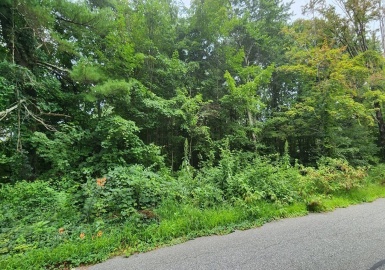 0 Reed St, Warren, Massachusetts 01092, ,Land,For Sale,Reed St,73207606
