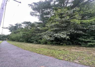 71 Pond St, Norfolk, Massachusetts 02056, ,Land,For Sale,Pond St,73138162