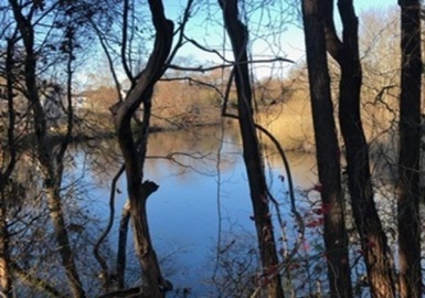 0 Raymond Allard Rd., Swansea, Massachusetts 02777, ,Land,For Sale,Raymond Allard Rd.,73140311