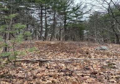2 Concord Rd, Saugus, Massachusetts 01906, ,Land,For Sale,Concord Rd,73107178