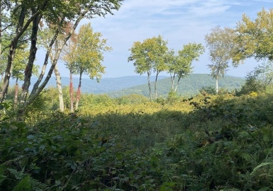 0 South Rd, Lot 5a, Hampden, Massachusetts 01036, ,Land,For Sale,Rd, Lot 5a,73190023