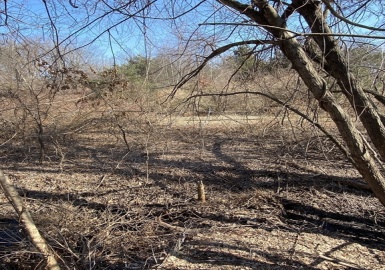 Lot 1 Mill Rd, Hampden, Massachusetts 01036, ,Land,For Sale,Mill Rd,73205429