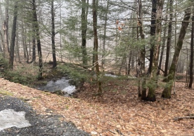 1 Waterfall Drive, Heath, Massachusetts 01339, ,Land,For Sale,Waterfall Drive,73209486