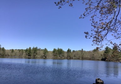 159 Paxton Street, Leicester, Massachusetts 01524, ,Land,For Sale,Paxton Street,73213795