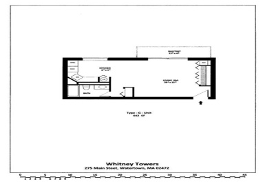 275 Main St, Watertown, Massachusetts 02472, 3 Rooms Rooms,1 BathroomBathrooms,Residential Lease,For Rent,Main St,73194612