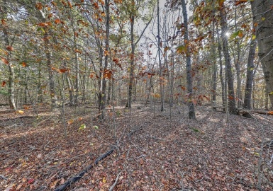 0 Highridge Road, Westport, Massachusetts 02790, ,Land,For Sale,Highridge Road,73177105