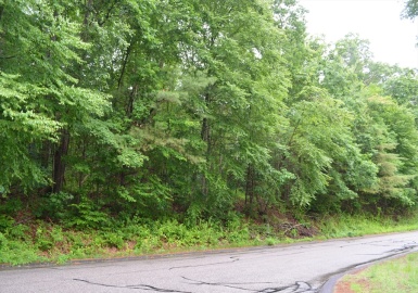 Lot 4 Babcock Tavern Rd, Ware, Massachusetts 01082, ,Land,For Sale,Babcock Tavern Rd,73198200