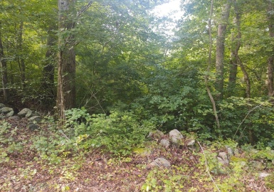 0 Winter St, Rehoboth, Massachusetts 02769, ,Land,For Sale,Winter St,73204946
