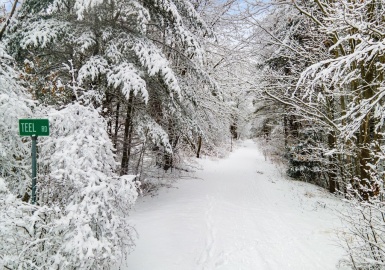 00 Teel Rd, Winchendon, Massachusetts 01475, ,Land,For Sale,Teel Rd,73198951