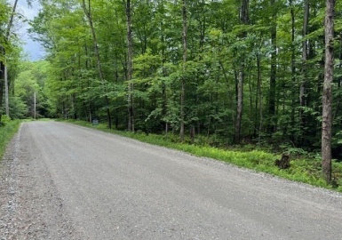Lot 121 Davis Mine Rd, Rowe, Massachusetts 01367, ,Land,For Sale,Davis Mine Rd,73217137
