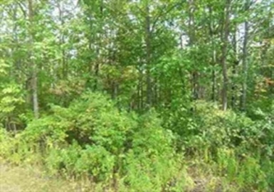 110 Burrage Street, Lunenburg, Massachusetts 01462, ,Land,For Sale,Burrage Street,73011275