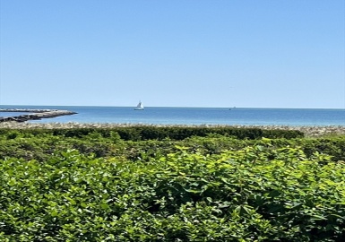 151 Irving Ave, Barnstable, Massachusetts 02647, 6 Bedrooms Bedrooms, 13 Rooms Rooms,5.5 BathroomsBathrooms,Residential,For Sale,Irving Ave,73213254