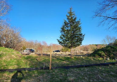 0 Smith Street, Dighton, Massachusetts 02764, ,Land,For Sale,Smith Street,73225557