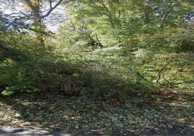 0 Lake Rd, Yarmouth, Massachusetts 02673, ,Land,For Sale,Lake Rd,73213144