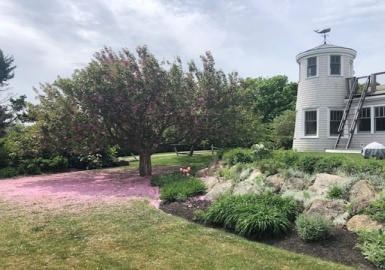 77 South St, Rockport, Massachusetts 01966, 4 Bedrooms Bedrooms, 8 Rooms Rooms,2.5 BathroomsBathrooms,Residential Lease,For Rent,South St,73167918