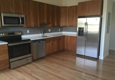 367 Harvard, Cambridge, Massachusetts 02138, 5 Bedrooms Bedrooms, 12 Rooms Rooms,4.5 BathroomsBathrooms,Residential Lease,For Rent,Harvard,73223875