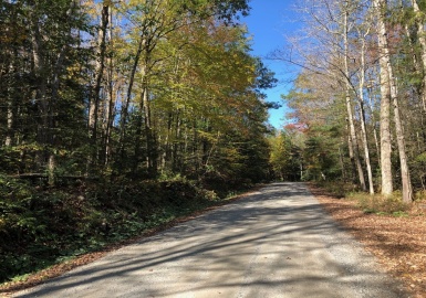 0 Highland Way, Otis, Massachusetts 01253, ,Land,For Sale,Highland Way,73196333