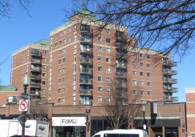 15 N Beacon, Boston, Massachusetts 02134, ,Residential Lease,For Rent,N Beacon,73229733