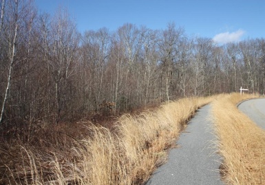 75 Old Farm Road, Douglas, Massachusetts 01516, ,Land,For Sale,Old Farm Road,72627089