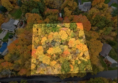 0 Maple Grove Rd, Hampden, Massachusetts 01036, ,Land,For Sale,Maple Grove Rd,72936695