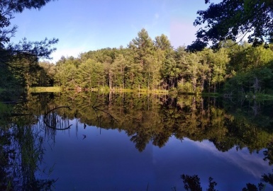 Lot 5D & E Lombard Rd, Hubbardston, Massachusetts 01452, ,Land,For Sale,Lombard Rd,72935144