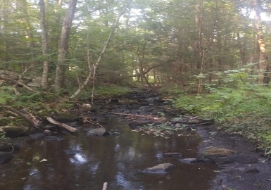 Lot 5C & D Lombard Rd, Hubbardston, Massachusetts 01452, ,Land,For Sale,Lombard Rd,72935142