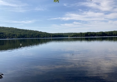 Lot 49 Camp Rd, Orange, Massachusetts 01364, ,Land,For Sale,Camp Rd,72964608