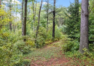 215 Queen Lake Rd., Phillipston, Massachusetts 01331, ,Land,For Sale,Queen Lake Rd.,73040336