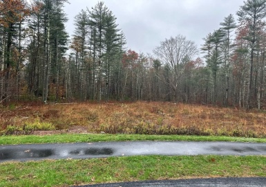 0 White Tail Ln Lot 8, Middleboro, Massachusetts 02346, ,Land,For Sale,White Tail Ln Lot 8,73058388